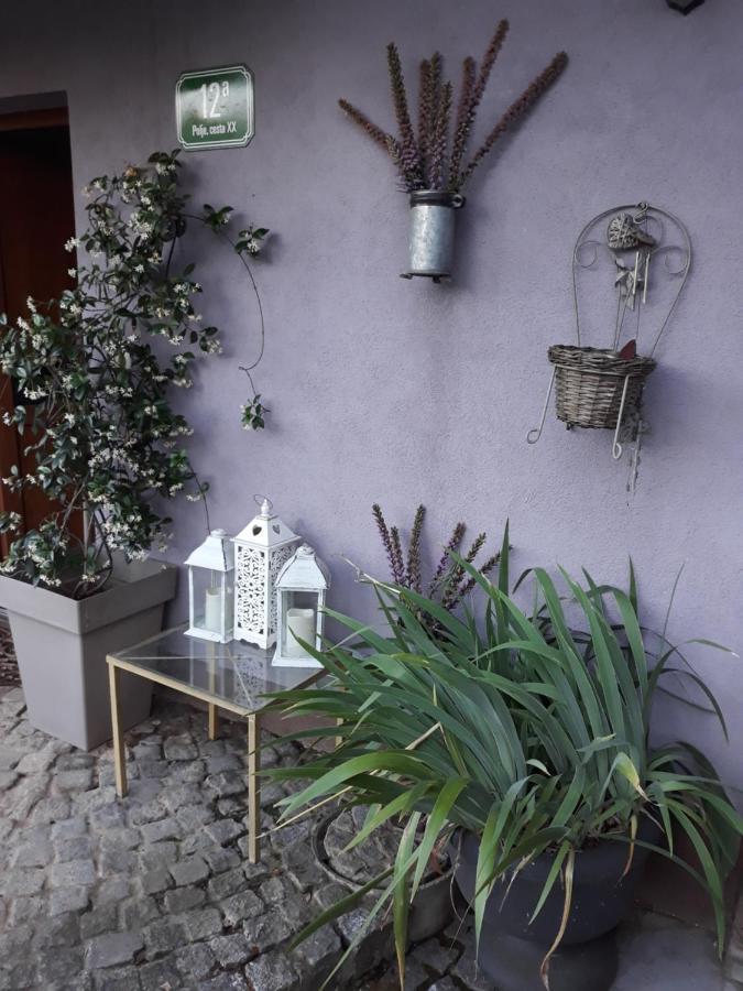 Art Room With Outdoor Living Ljubljana Buitenkant foto