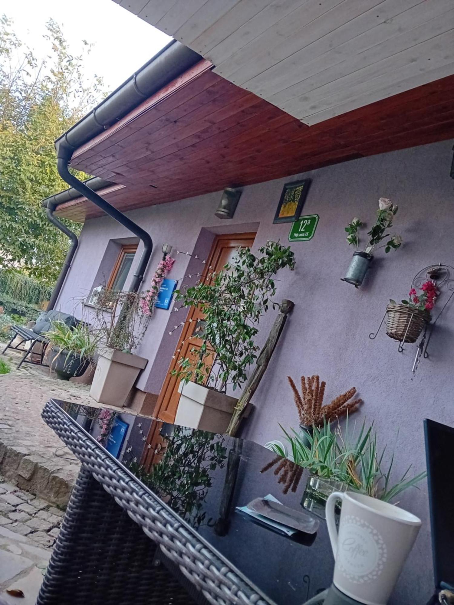 Art Room With Outdoor Living Ljubljana Buitenkant foto